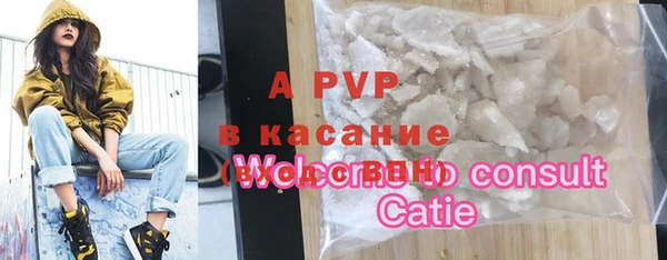 spice Богородск