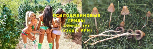 прущие крисы Богородицк