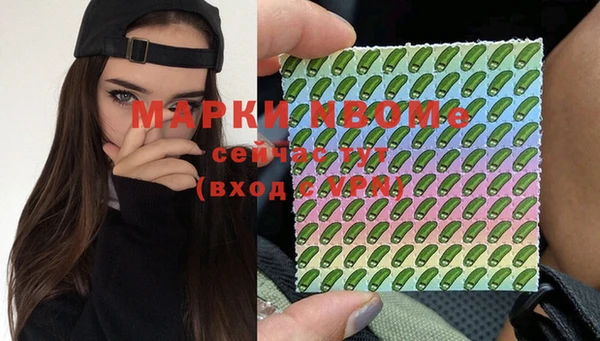 spice Богородск