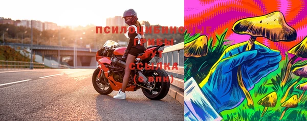 spice Богородск