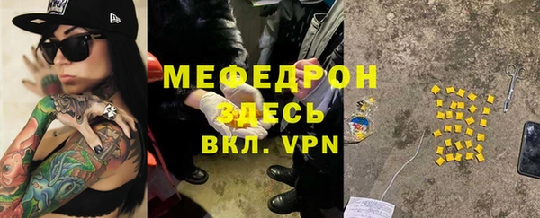 spice Богородск