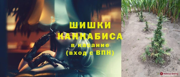 spice Богородск
