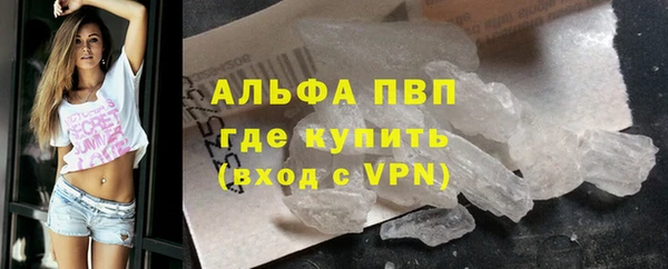 spice Богородск