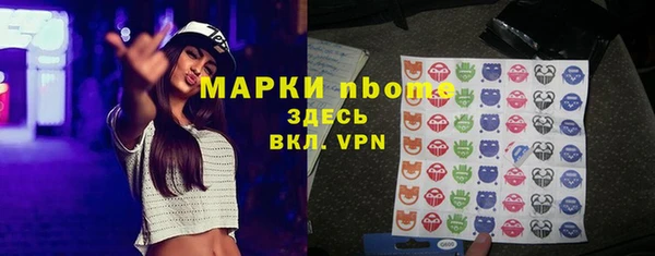 spice Богородск