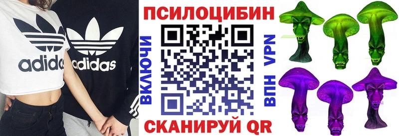 Псилоцибиновые грибы Magic Shrooms  блэк спрут ссылка  Ростов-на-Дону 