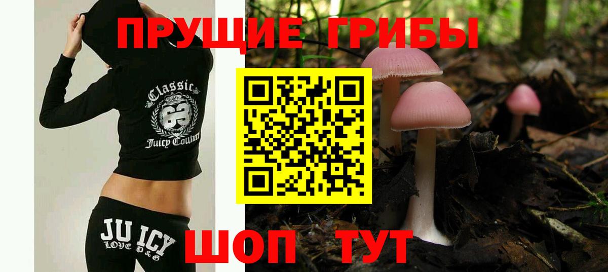 Ростов-на-Дону  Псилоцибиновые грибы Psilocybe  Вход с VPN 