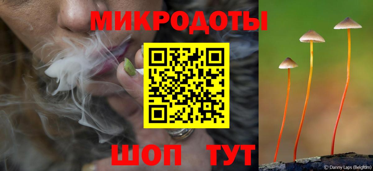 Галлюциногенные грибы прущие грибы Ростов-на-Дону